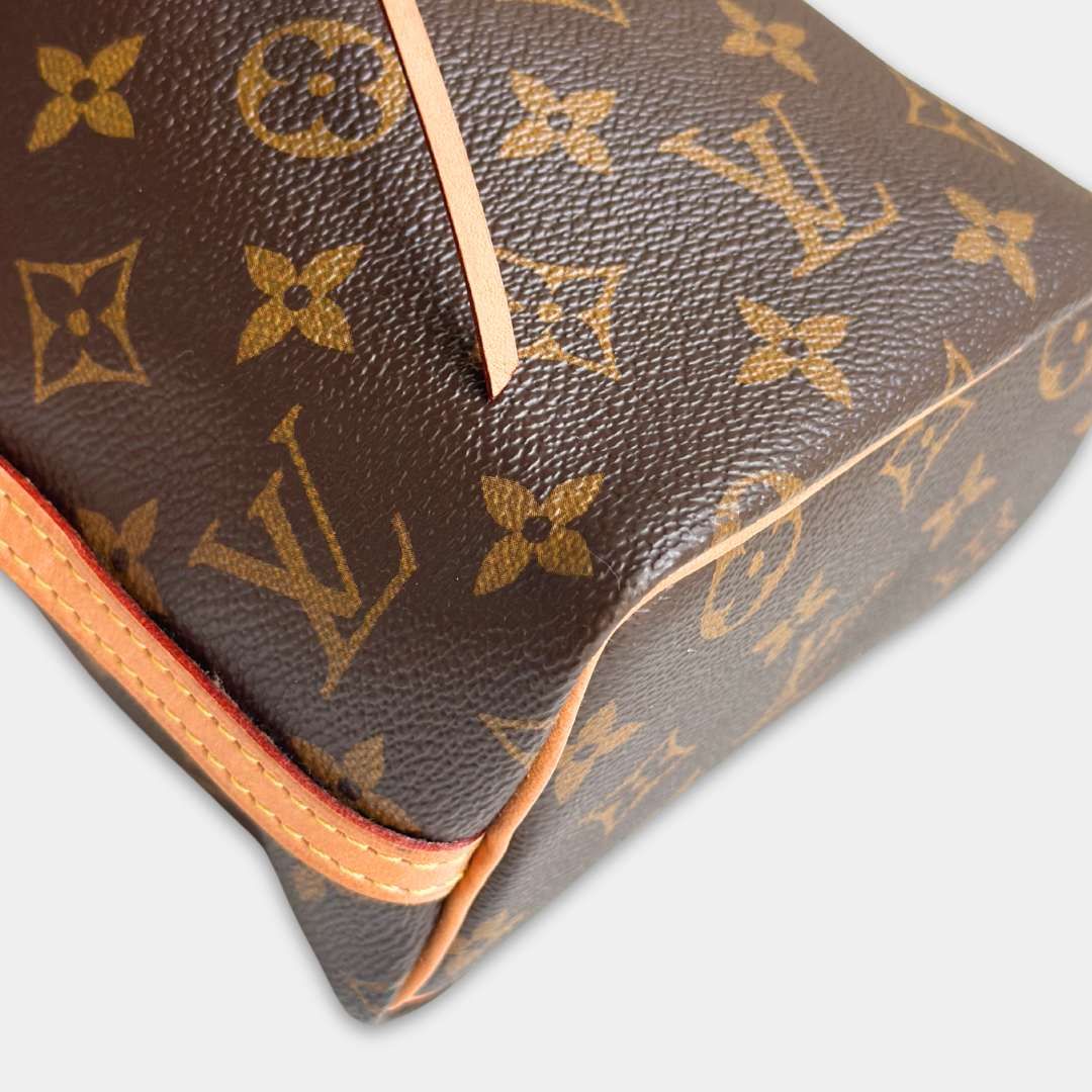Louis Vuitton Monogram Nano Noe Bag Kelly's Authentic Boutique