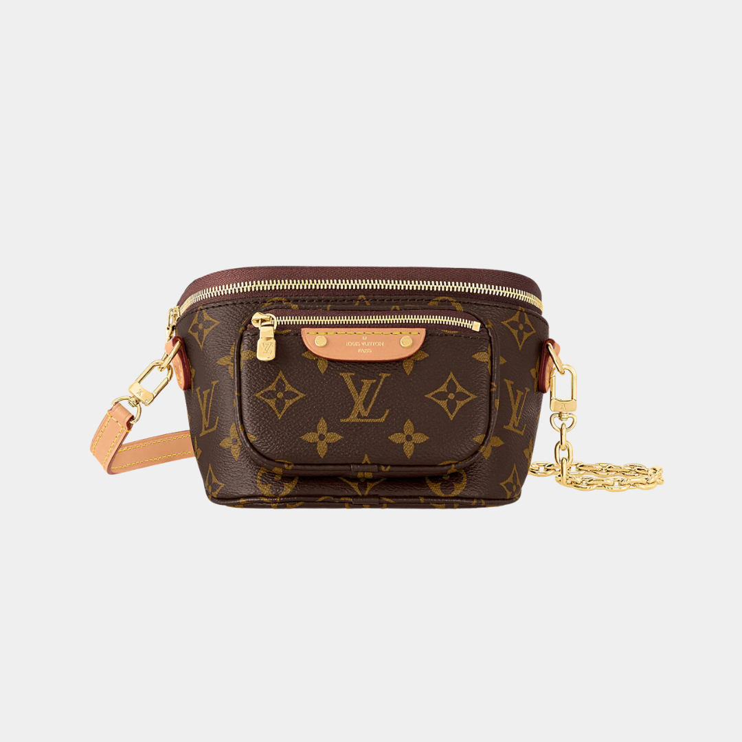 Louis Vuitton Mini Monogram Canvas Bumbag