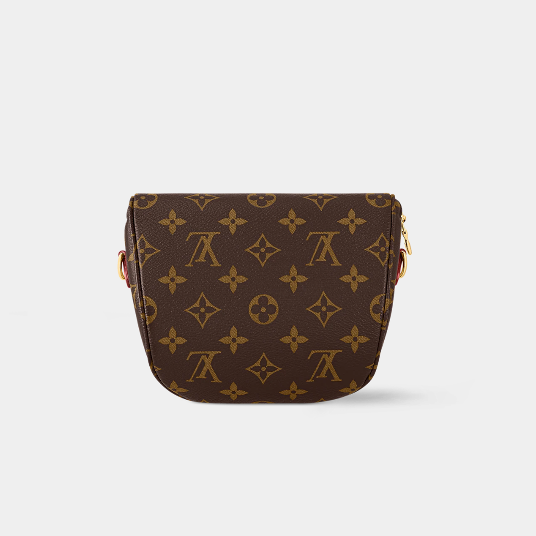 Louis Vuitton Mini Monogram Canvas Bumbag