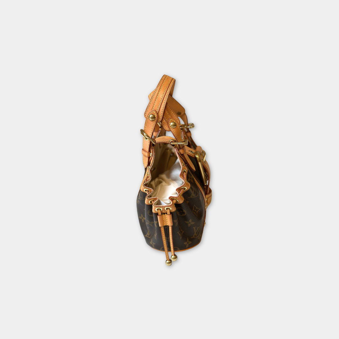 Louis Vuitton Monogram Theda GM Kelly's Authentic Boutique