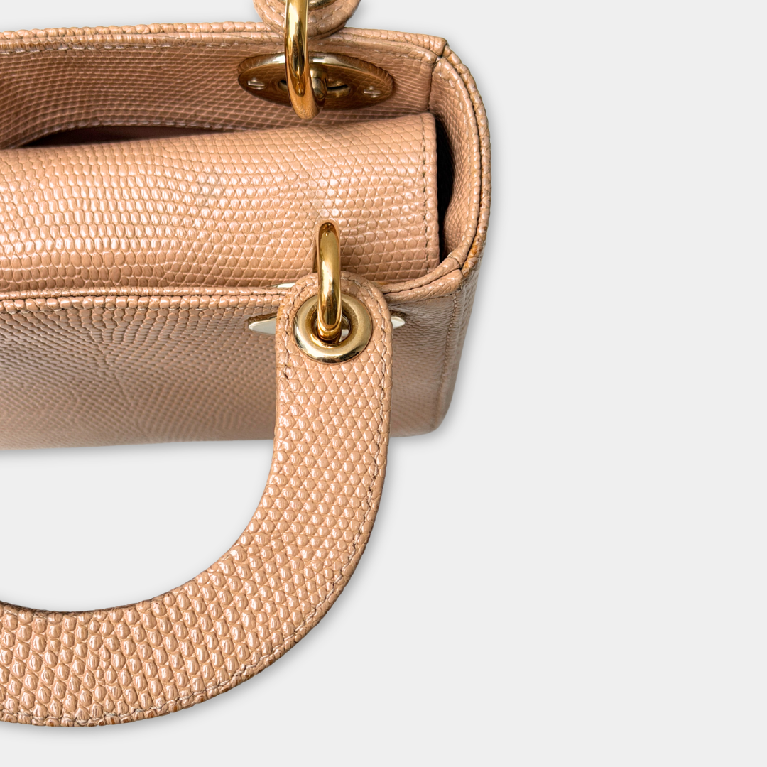 Python Mini Lady Dior Handbag Kelly's Authentic Boutique